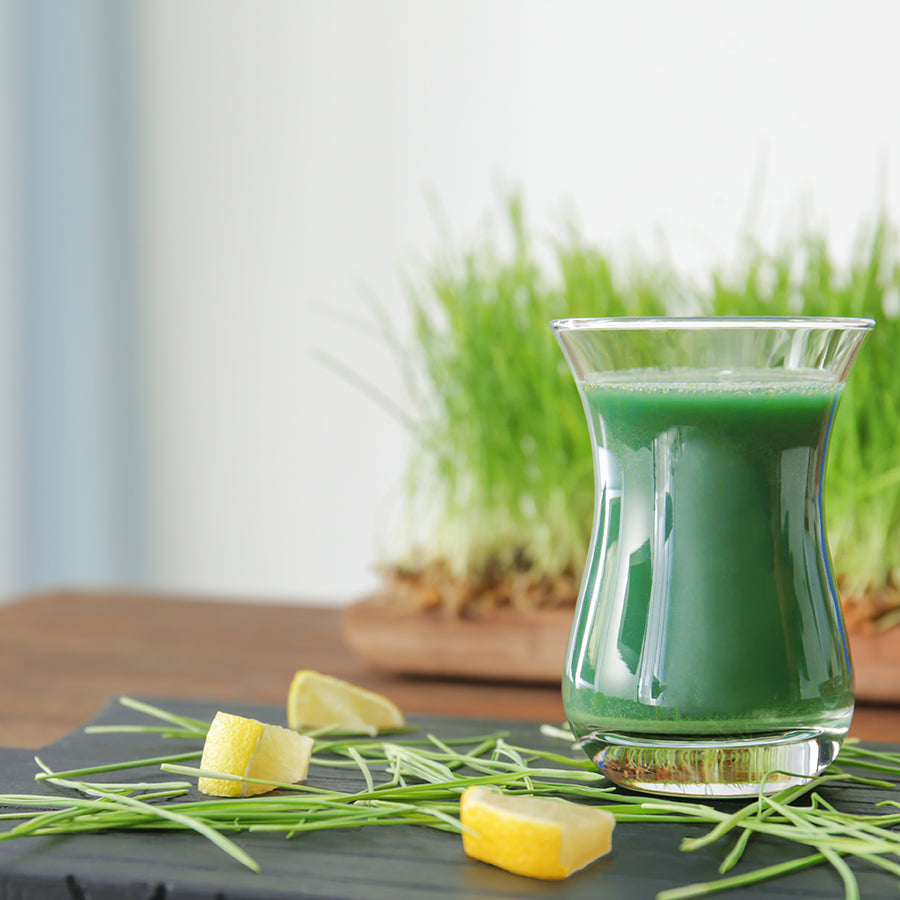 12 Recipes for Boosting Your Immunity